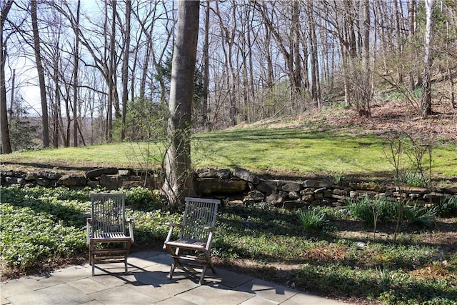 763 Old State Route 22, Dover Plains, NY 12522 - view of patio / terrace
