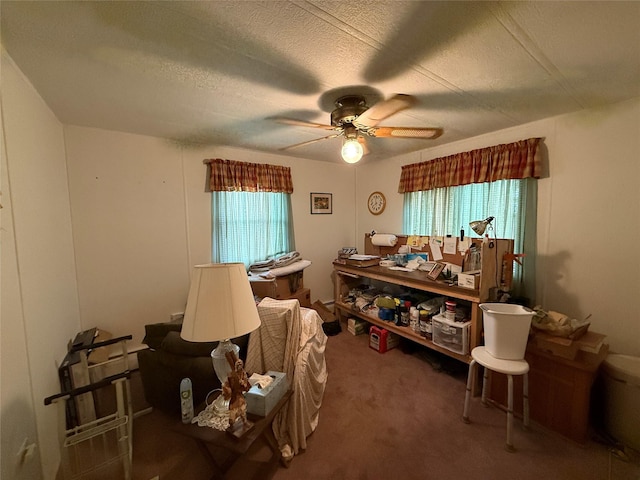 305 Brittany Ter Unit 305, Rock Tavern, NY 12575 - miscellaneous room with a ceiling fan, carpet flooring, and a textured ceiling