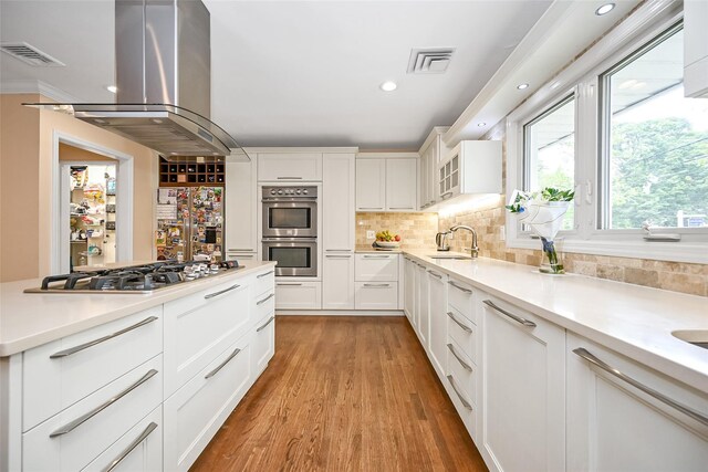 1608 Union Ave Unit 1608, Hewlett, NY 11557 - kitchen featuring a sink, stainless steel appliances, island range hood, light wood-type flooring, and white cabinetry