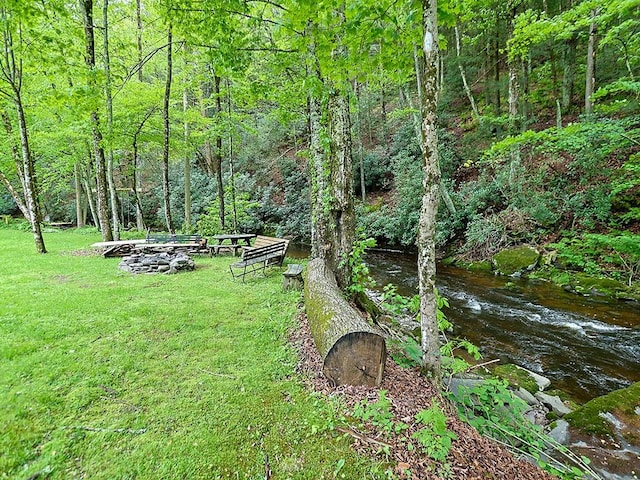120 Spring Glen Rd, Mountain Dale, NY 12763 - view of green lawn featuring a forest view
