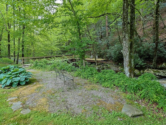 120 Spring Glen Rd, Mountain Dale, NY 12763 - view of wooded area