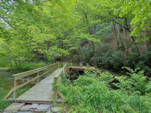 120 Spring Glen Rd, Mountain Dale, NY 12763 - surrounding community with a view of trees