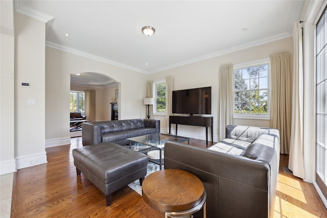living room with arched walkways, plenty of natural light, crown molding, baseboards, and wood finished floors