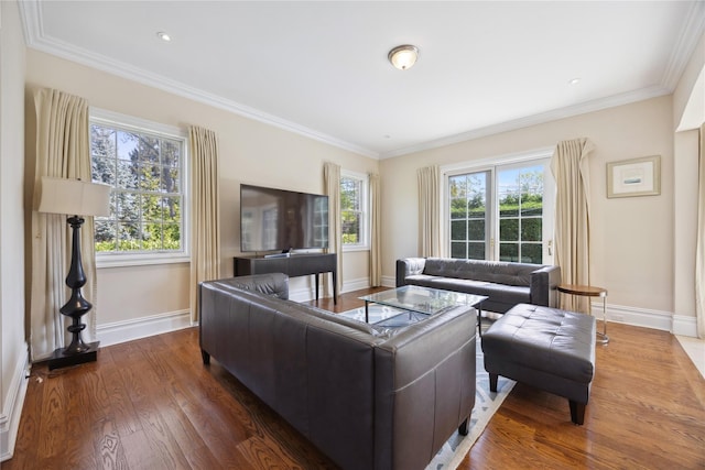 living room with baseboards, crown molding, and wood finished floors