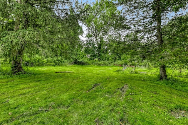 5 Camp Hill Rd, Pomona, NY 10970 - photo 24