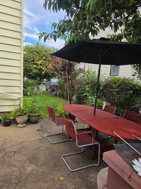 221 Lincoln Ave, Mineola, NY 11501 - photo 8