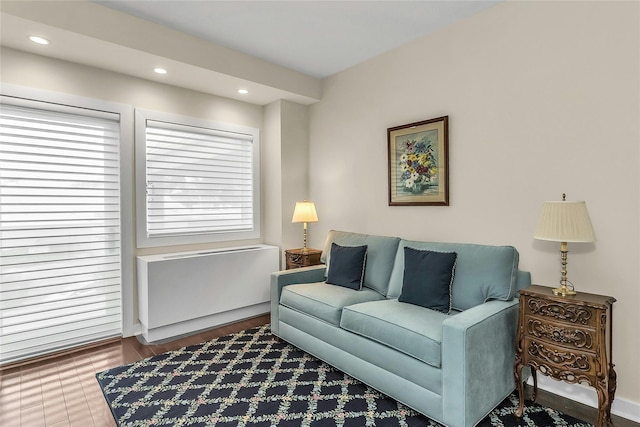 433 Main St Unit 203, Port Washington, NY 11050 - living room featuring recessed lighting and radiator heating unit