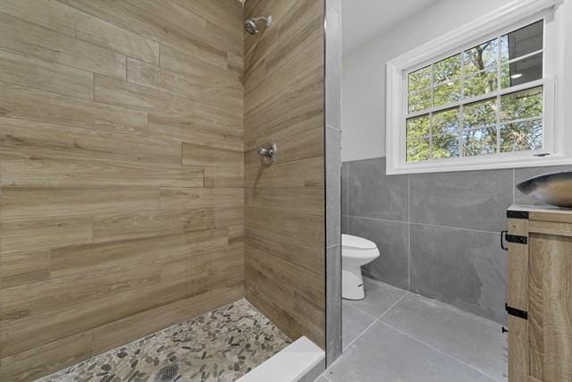 65 Old Cahoonzie Rd, Sparrowbush, NY 12780 - bathroom with a shower stall, toilet, tile walls, vanity, and tile patterned flooring