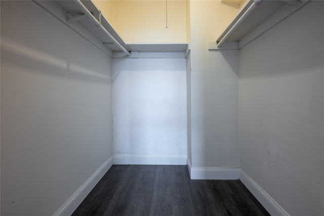 825 Morrison Ave Unit 12F, Bronx, NY 10473 - walk in closet with dark wood finished floors