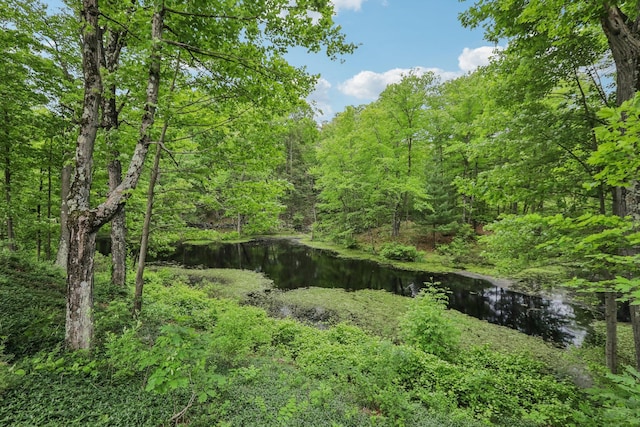 275 Otterkill Rd, Cornwall, NY 12553 - view of tree filled area featuring a water view