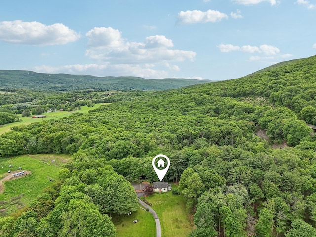 275 Otterkill Rd, Cornwall, NY 12553 - drone / aerial view of a heavily wooded area and a mountain backdrop