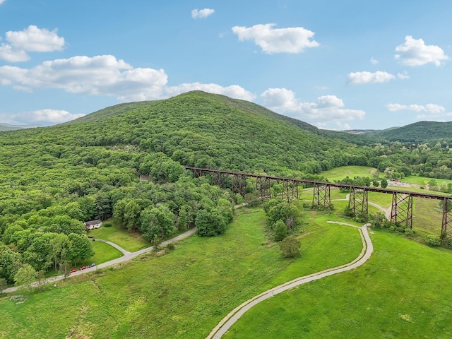 275 Otterkill Rd, Cornwall, NY 12553 - mountain view with a forest