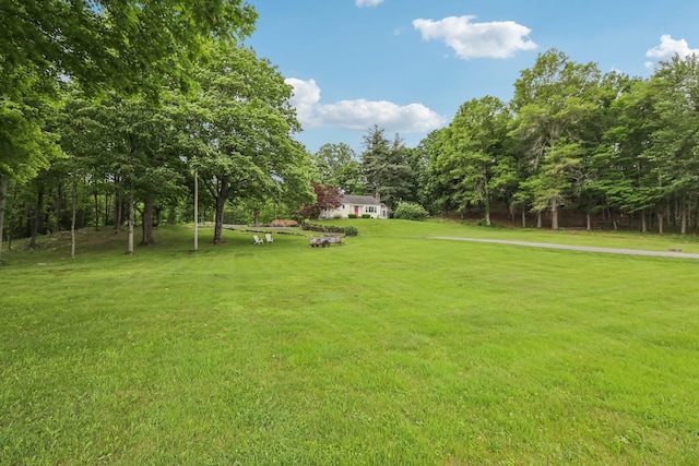 275 Otterkill Rd, Cornwall, NY 12553 - view of green lawn