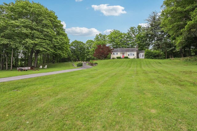 275 Otterkill Rd, Cornwall, NY 12553 - view of green lawn