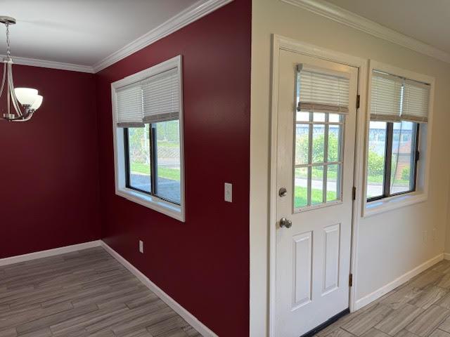 350 N Water St Unit 1-7, Newburgh, NY 12550 - doorway featuring a chandelier, plenty of natural light, ornamental molding, baseboards, and light wood-style floors