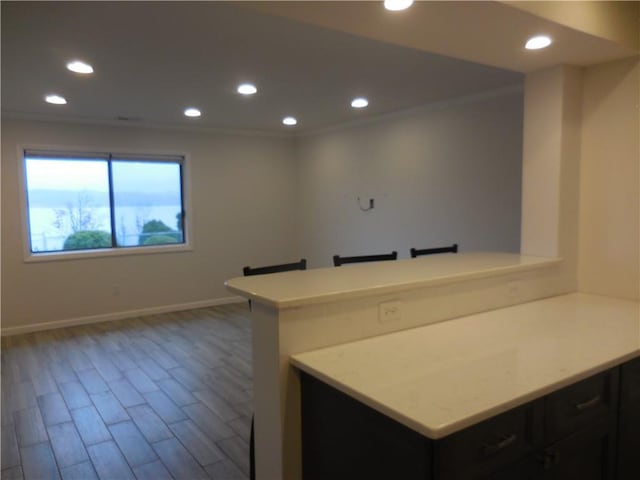 350 N Water St Unit 1-7, Newburgh, NY 12550 - kitchen with recessed lighting, baseboards, light countertops, wood finished floors, and crown molding