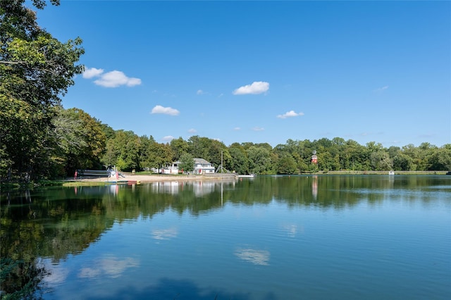 34 Evergreen Row, Armonk, NY 10504 - water view with a forest