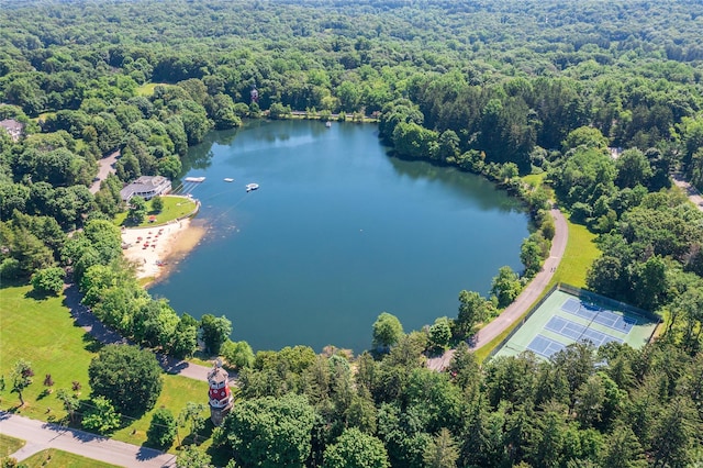 34 Evergreen Row, Armonk, NY 10504 - aerial view of a nearby body of water