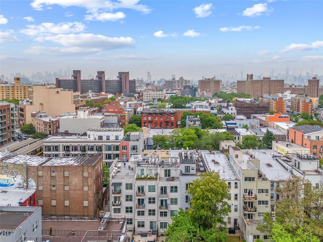 20 Melrose St Unit 4F, Brooklyn, NY 11206 - view of city skyline