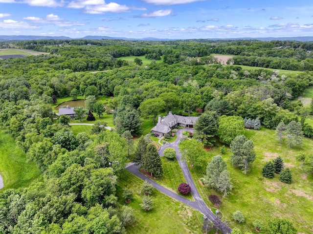 189 Freedom Rd, Pleasant Valley, NY 12569 - drone / aerial view of a forest