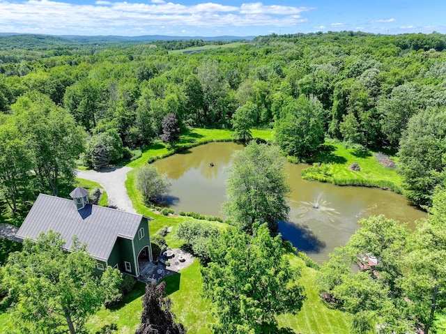 189 Freedom Rd, Pleasant Valley, NY 12569 - bird's eye view of a heavily wooded area and a nearby body of water