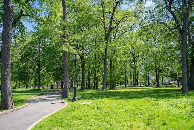3225 155th St, Flushing, NY 11354 - view of community with a lawn and asphalt driveway