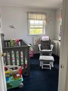 48-13 216th St, Bayside, NY 11364 - bedroom with dark carpet