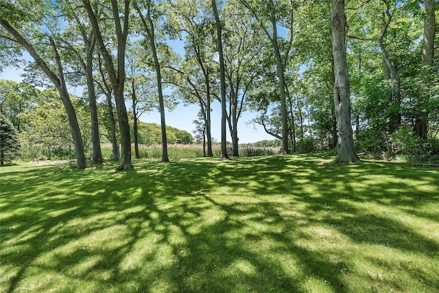 910 New Suffolk Ave, Mattituck, NY 11952 - view of grassy yard