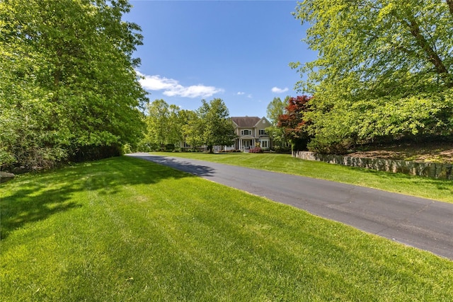 1 Majestic Rdg, Carmel, NY 10512 - view of asphalt driveway