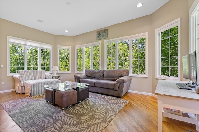 1 Majestic Rdg, Carmel, NY 10512 - living area featuring baseboards, light wood-style flooring, and recessed lighting