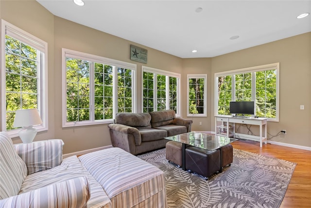 1 Majestic Rdg, Carmel, NY 10512 - living area featuring baseboards, wood finished floors, and recessed lighting
