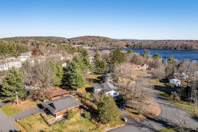 6 Medallion Rd, Kiamesha Lake, NY 12751 - view of property location featuring a large body of water