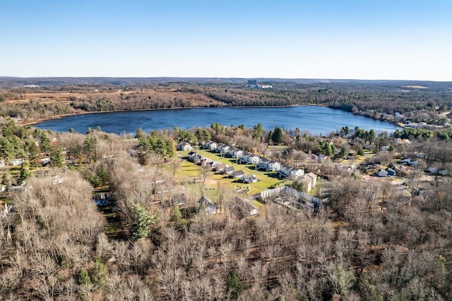 6 Medallion Rd, Kiamesha Lake, NY 12751 - bird's eye view of a nearby body of water and a forest