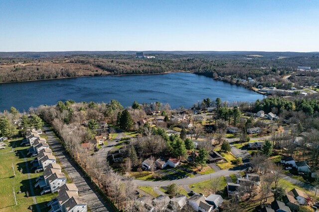 6 Medallion Rd, Kiamesha Lake, NY 12751 - photo 46