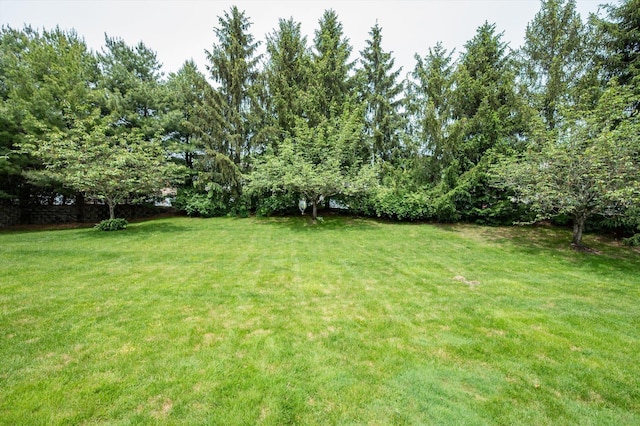 5 Mantack Path, Kings Park, NY 11754 - view of green lawn
