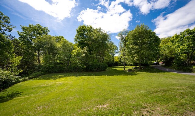 5692 Rte 82, Clinton Corners, NY 12514 - view of grassy yard