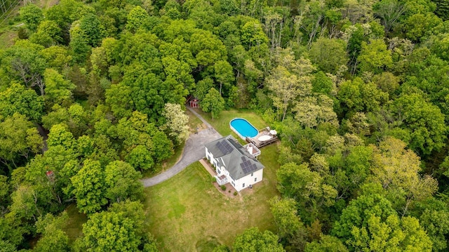 5692 Rte 82, Clinton Corners, NY 12514 - aerial view of a forest and a pool area
