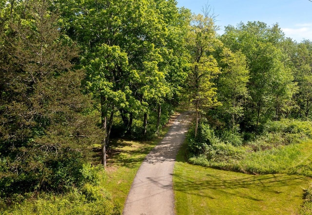 5692 Rte 82, Clinton Corners, NY 12514 - view of road with a wooded view
