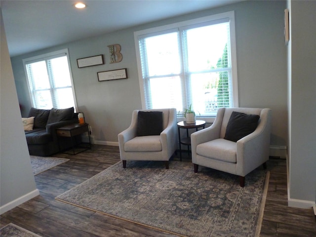 66 Evergreen Ave, Patchogue, NY 11772 - living area with a baseboard radiator, plenty of natural light, baseboards, dark wood-type flooring, and recessed lighting