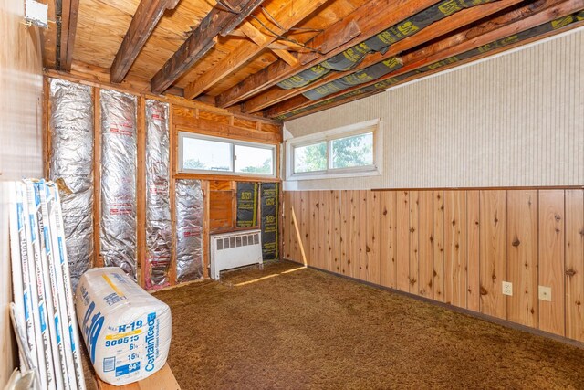 30 Jean Dr, North Babylon, NY 11703 - unfurnished room featuring radiator and wooden walls