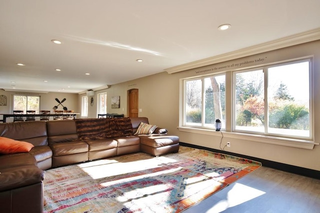 237 Hynes Rd, Poughquag, NY 12570 - living room featuring recessed lighting, wood finished floors, and baseboards