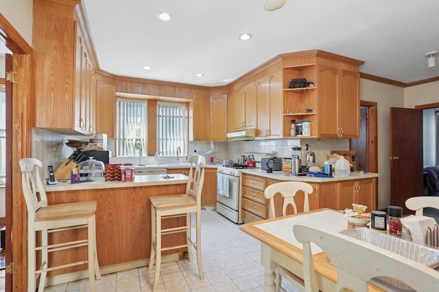 432 Amboy St, Brooklyn, NY 11212 - kitchen featuring white range with gas stovetop, a peninsula, under cabinet range hood, backsplash, and light countertops