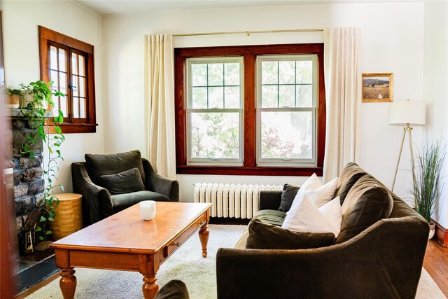 222 Lakeside Rd, Newburgh, NY 12550 - living area with radiator