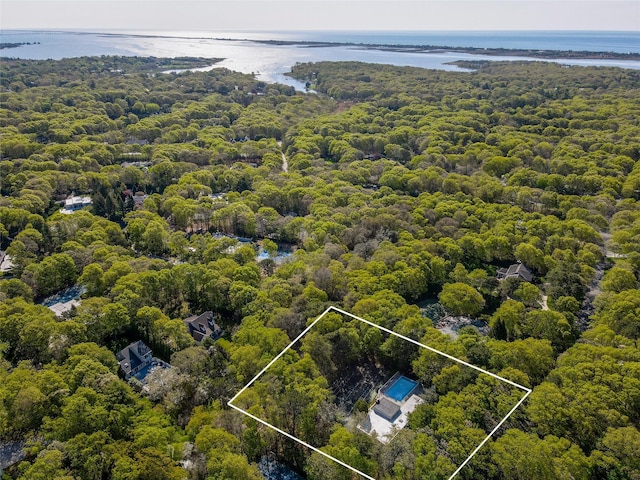 15 Elizabeth Ln, Quogue, NY 11959 - view of property location featuring a forest, a large body of water, and property parcel outlined