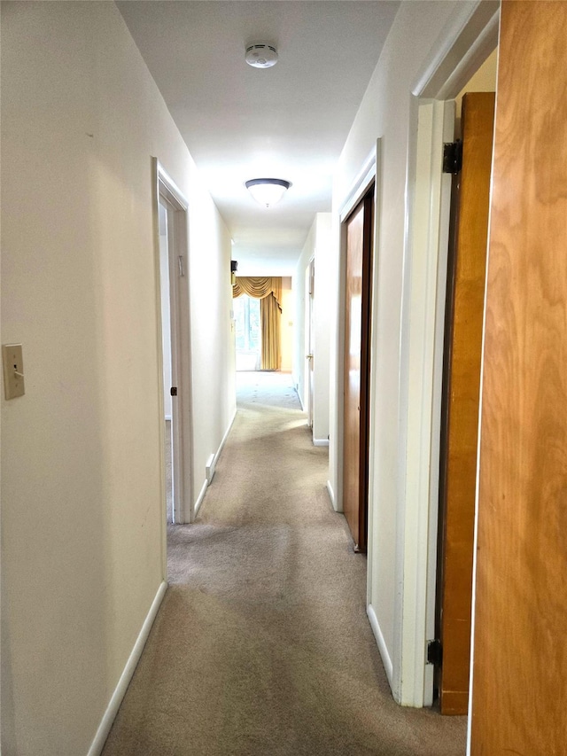 31 Whittier Blvd, Poughkeepsie, NY 12603 - corridor featuring carpet flooring and baseboards