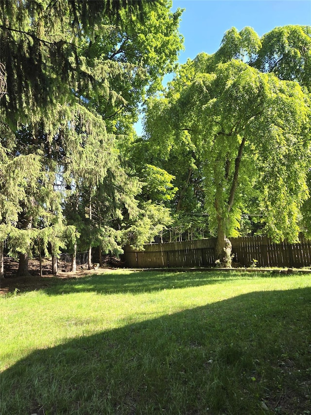 31 Whittier Blvd, Poughkeepsie, NY 12603 - view of yard