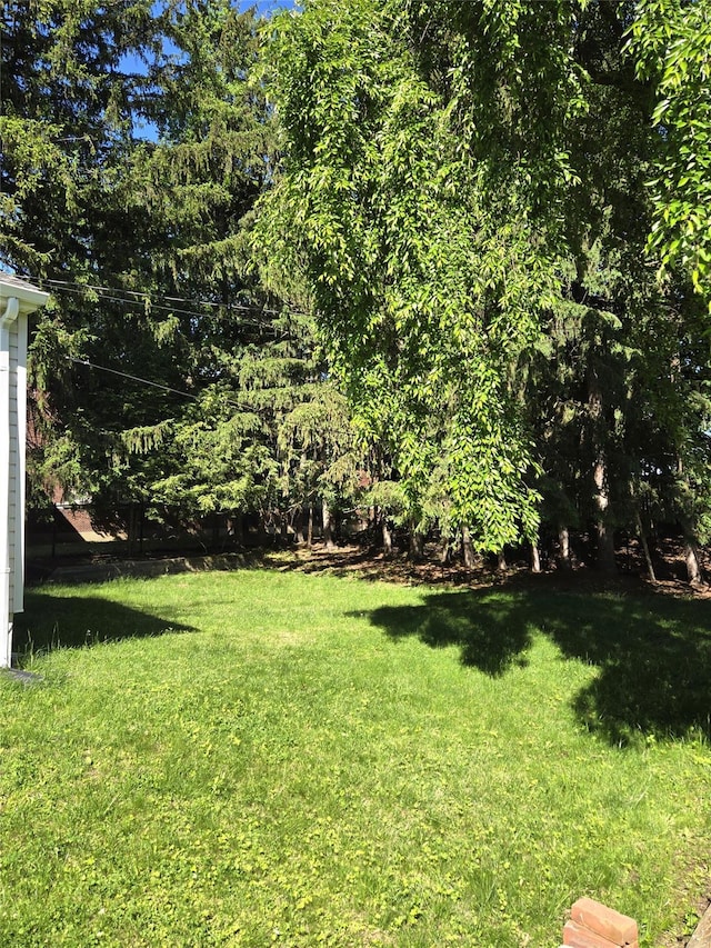 31 Whittier Blvd, Poughkeepsie, NY 12603 - view of green lawn