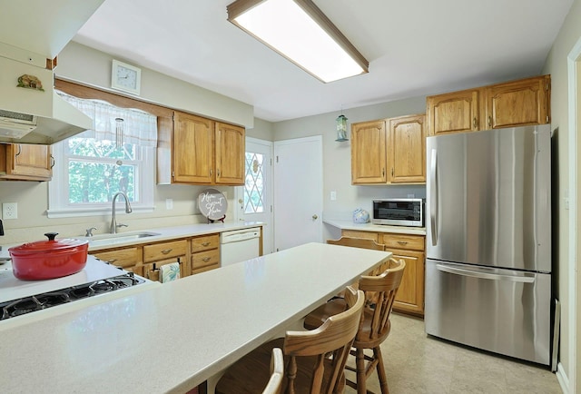 53 Prior Pl, Yonkers, NY 10710 - kitchen with appliances with stainless steel finishes, a sink, light countertops, and plenty of natural light