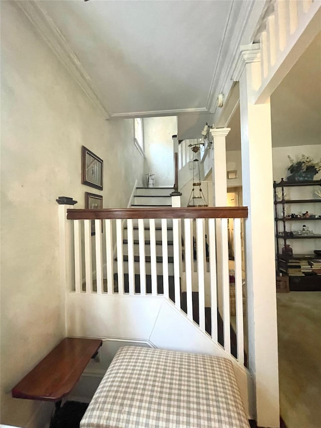 4005 203rd St, Bayside, NY 11361 - photo 3