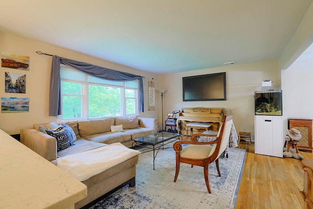 10 Cregan Pl, Monroe, NY 10950 - living room with light wood-style floors
